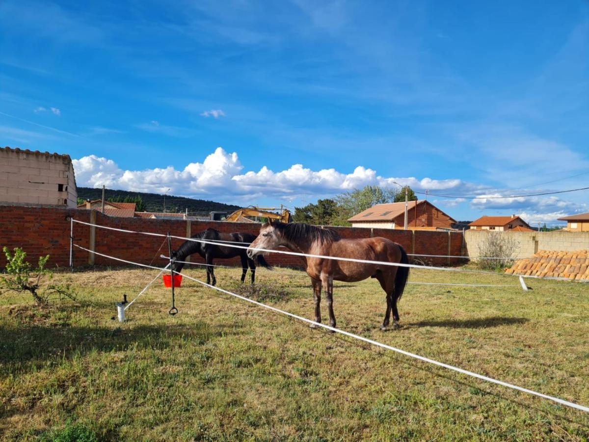 Rural águedas